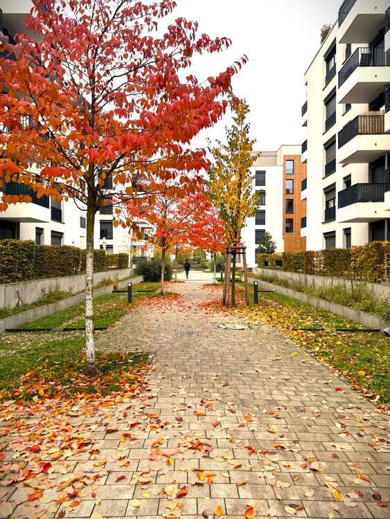 Wohnung zum Mieten in Berlin 1.112,76 € 50.58 m² 2 zimmer