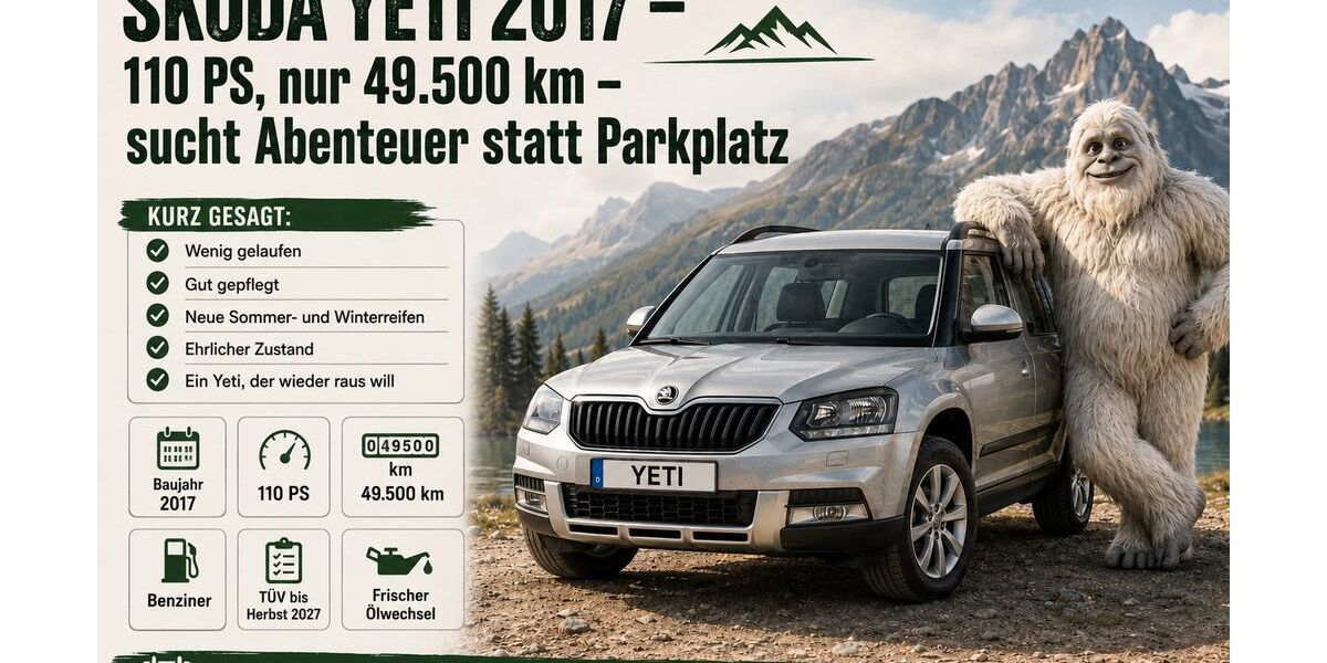Skoda Yeti 49.300 km 11.400 &euro; Berlin 10318