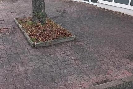 Gewerbeobjekt Naumburg (Saale) - 740&euro; | Angebot:25172611