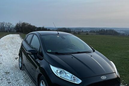 Ford Fiesta 105.000 km 7.000 &euro; Mengen 88512