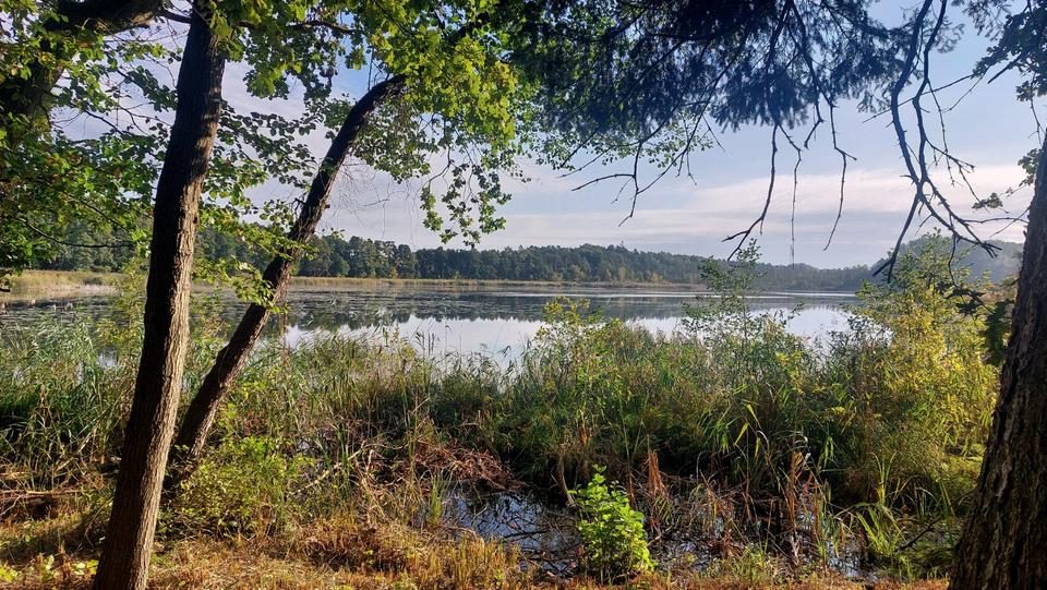 Haus am See , (halbe) Doppelhaushälfte im Seenland Mecklenburg 2 zimmer