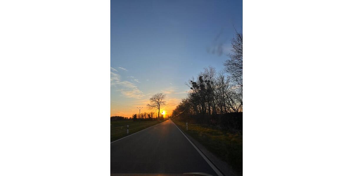 Bungalow Bad Freienwalde (Oder) - 2 Zimmer, 26 m&sup2;, 400&euro; | Angebot:26272353