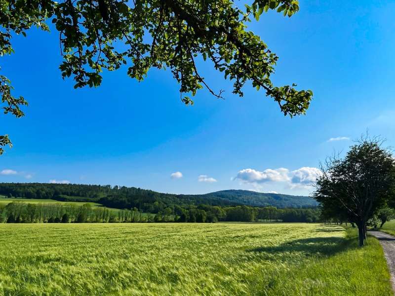 Haus zum Kaufen in Neustadt 485.000 € 150 m²