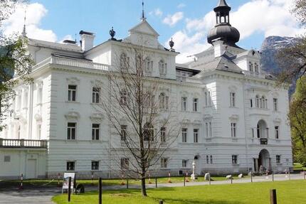 1-Zii Whg im Schlosspark in Lofer St.Martin Nähe Salzburg - A 1 zimmer