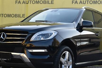Mercedes-Benz ML 250 380.000 km 9.900 &euro; Kremmen 16766