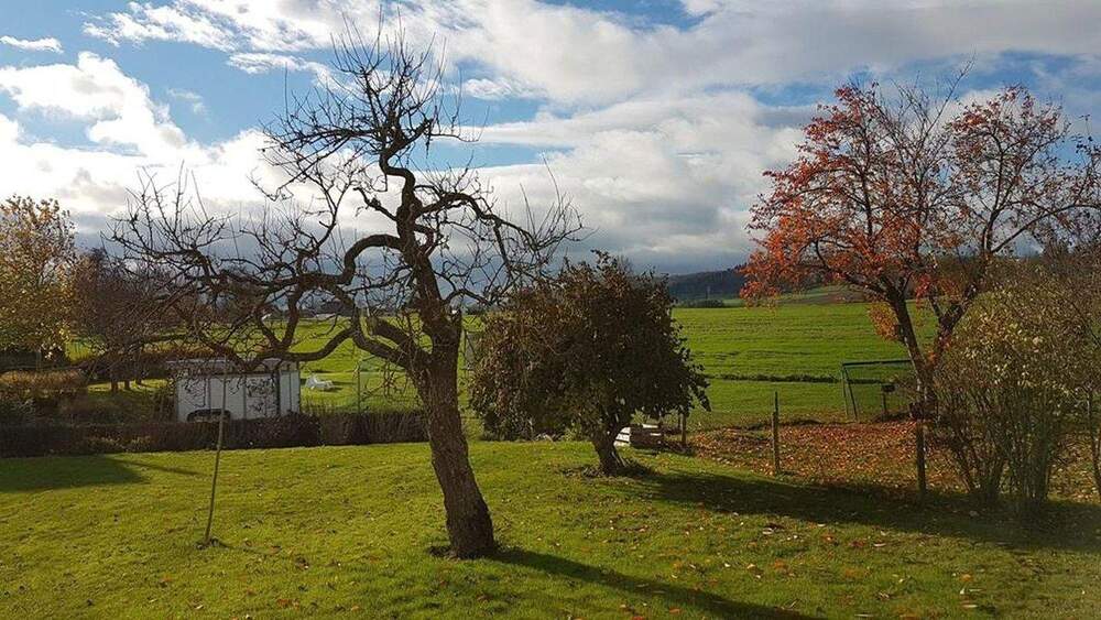 Einfamilienhaus Bad Schussenried - 1 Zimmer, 200 m&sup2;, 528.000&euro; | Angebot:25839136