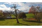 Einfamilienhaus Bad Schussenried - 1 Zimmer, 200 m&sup2;, 528.000&euro; | Angebot:25839136