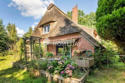 Haus Vollersode - 5 Zimmer, 288 m&sup2;, 269.000&euro; | Angebot:25773272