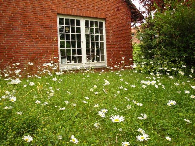 Dachgeschoßwohnung Barsinghausen - 3 Zimmer, 75 m&sup2;, 600&euro; | Angebot:26374688