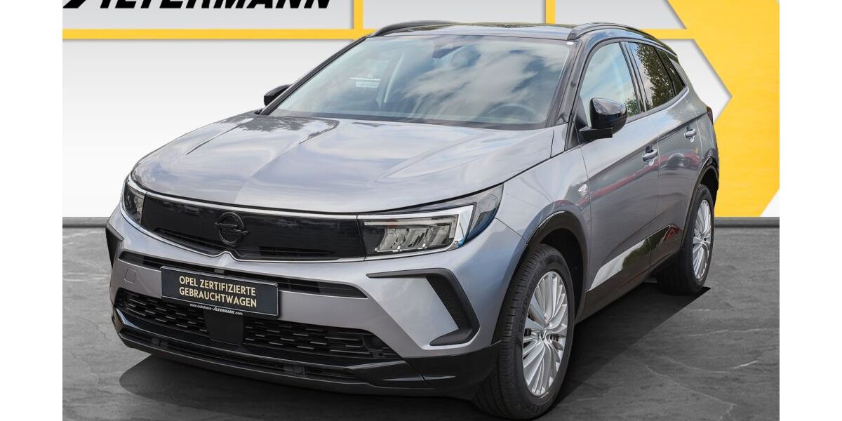 Opel Grandland (X) 72.980 km 18.980 &euro; Neuhaus 98724