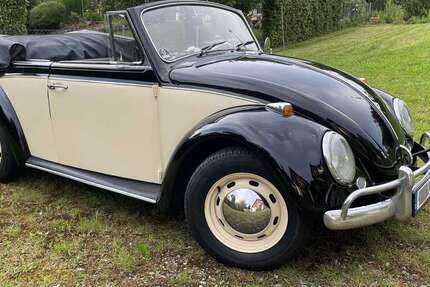 VW Käfer 67.000 km 43.500 &euro; Gaienhofen 78343