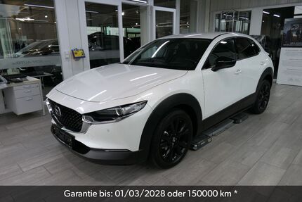 Mazda CX-30 87.460 km 20.990 &euro; Sondershausen 99706