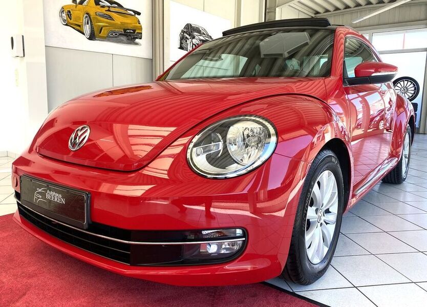 Beetle