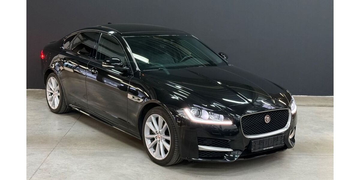 Jaguar XF 43.500 km 24.500 € Jülich 52428