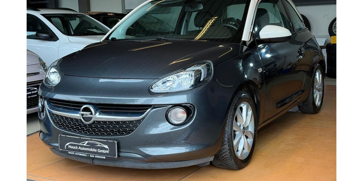 Opel Adam 76.800 km 9.490 &euro; Bad Dürkheim 67098
