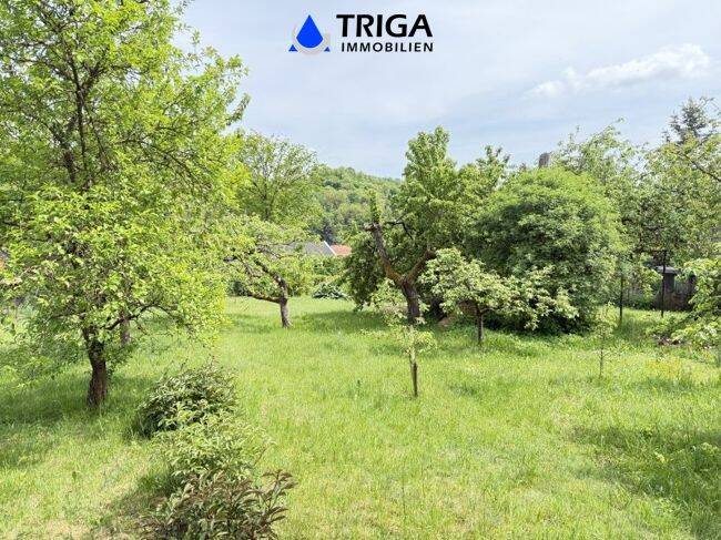 Grundstück Neustadt / Harz Ilfeld - 35.000&euro; | Angebot:26799149