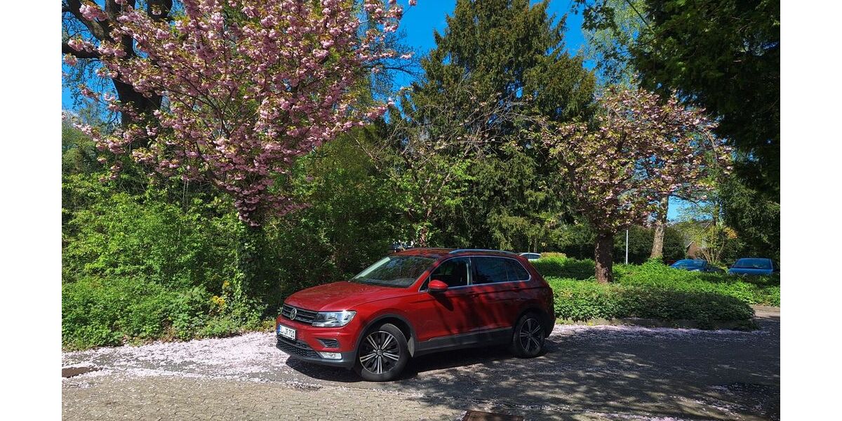VW Tiguan 76.000 km 21.500 &euro; Spelle 48480