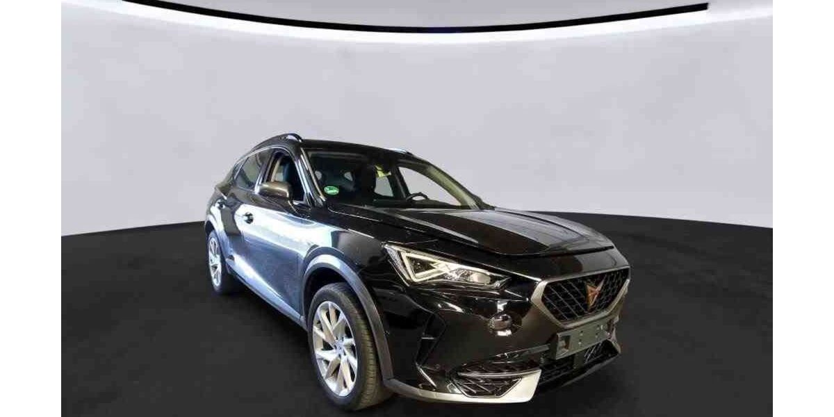 Cupra Formentor 71.951 km 19.450 &euro; Schöppenstedt 38170