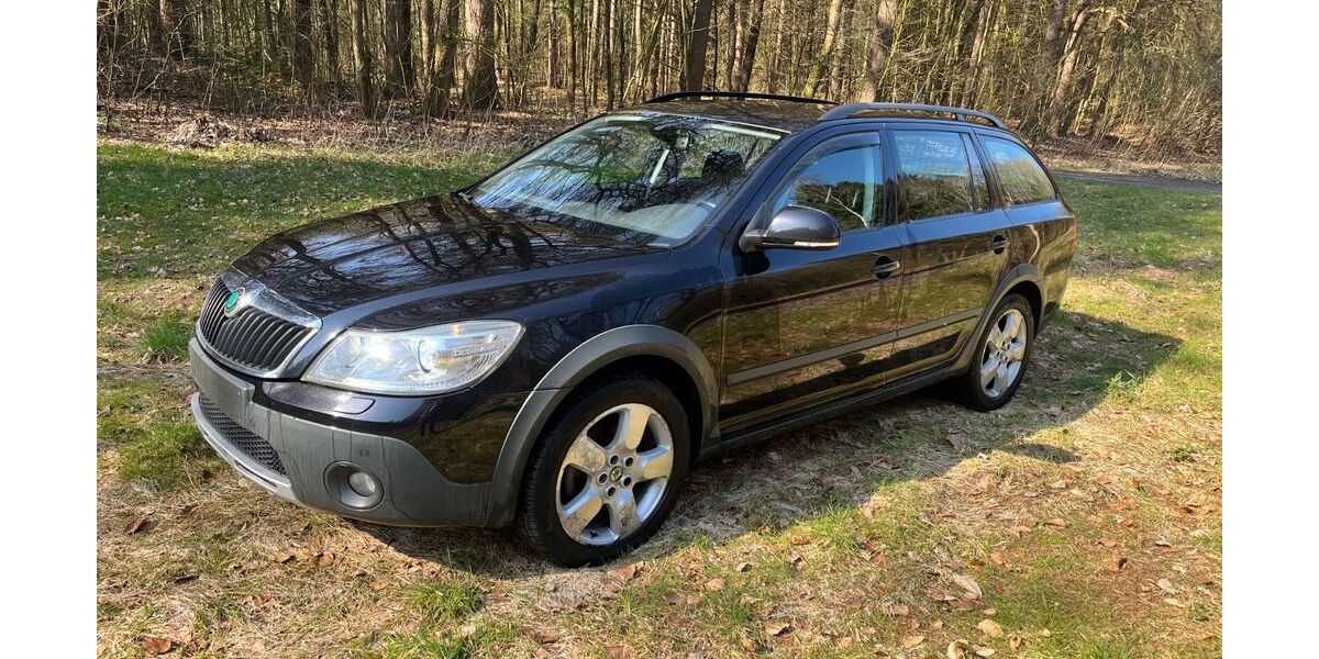 Skoda Octavia 210.000 km 6.000 &euro; Cloppenburg 49661