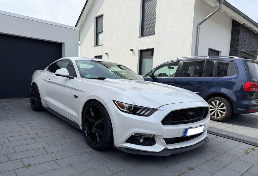 Mustang