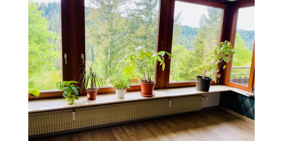 Einfamilienhaus Freudenstadt - 11 Zimmer, 224 m&sup2;, 650.000&euro; | Angebot:26985886