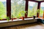 Einfamilienhaus Freudenstadt - 11 Zimmer, 224 m&sup2;, 650.000&euro; | Angebot:26985886