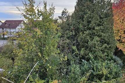 Wohnung zum Mieten in Allensbach 900 € 75 m² 3 zimmer