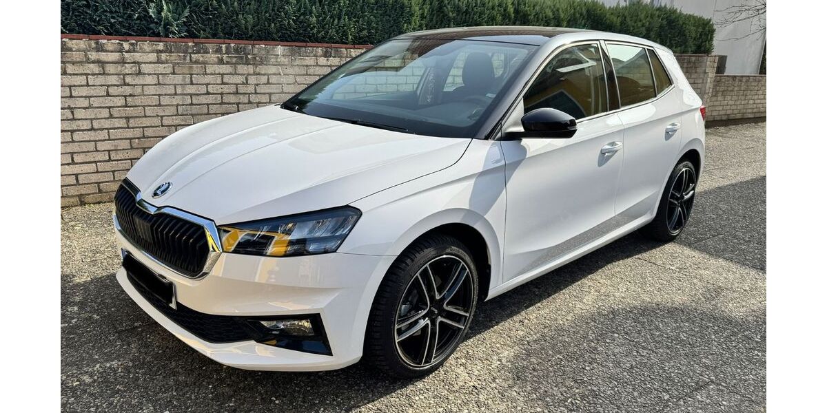 Skoda Fabia 8.500 km 18.990 &euro; Walsrode 29664
