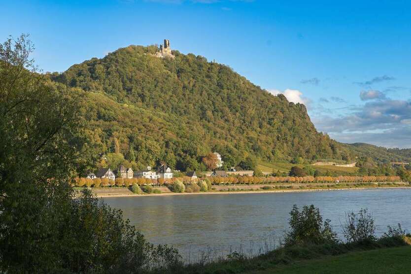 Wohnung zum Kaufen in Bonn 760.000 € 128 m²