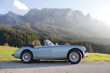 Austin Healey Andere