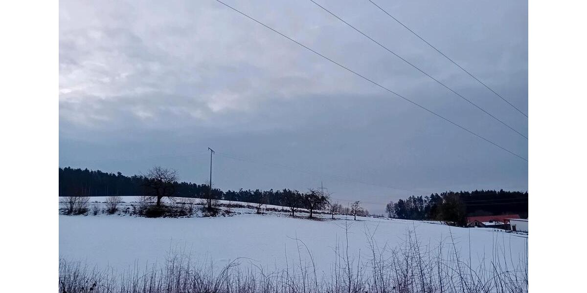 Etagenwohnung Bernhardswald - 1 Zimmer, 90 m&sup2;, 800&euro; | Angebot:24831532