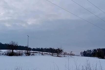 Wohnung Bernhardswald - 1 Zimmer, 90 m&sup2;, 800&euro; | Angebot:24831532