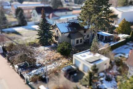 über 1000m² großes grünes Grundstück mit altem Baumbestand in Holzhausen zimmer