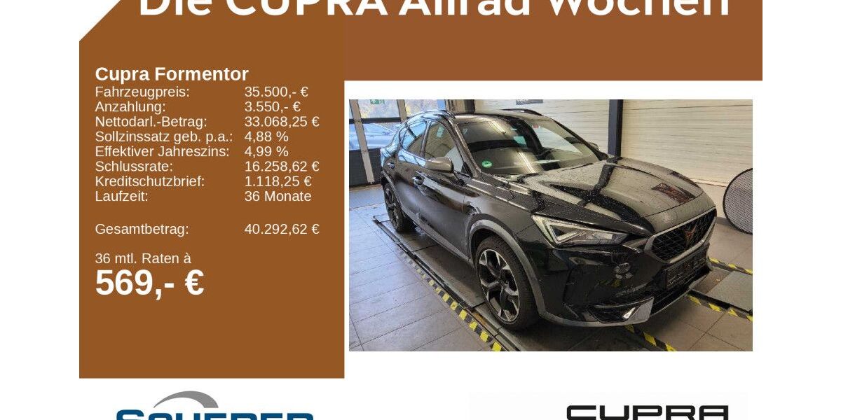 Cupra Formentor 24.700 km 35.500 € Mainz 55129