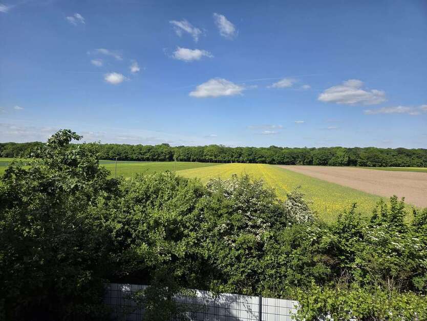 Haus zum Kaufen in Kerpen 665.000 € 195 m²