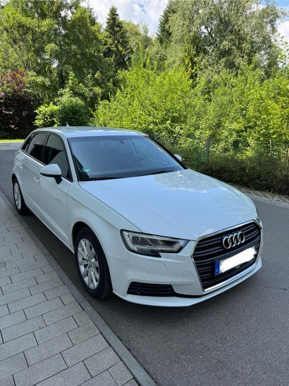 A3