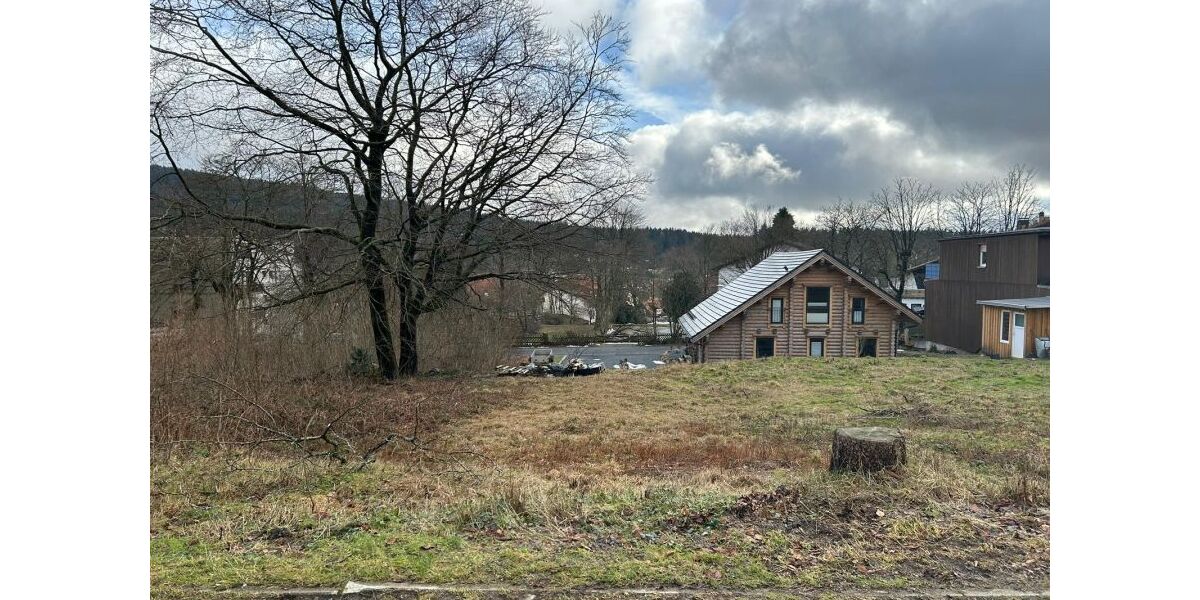 Provisionsfrei* Unbebautes Grundstück im Ortskern Hahnenklee - Grundstück Goslar Hahnenklee | Angebot:26063662