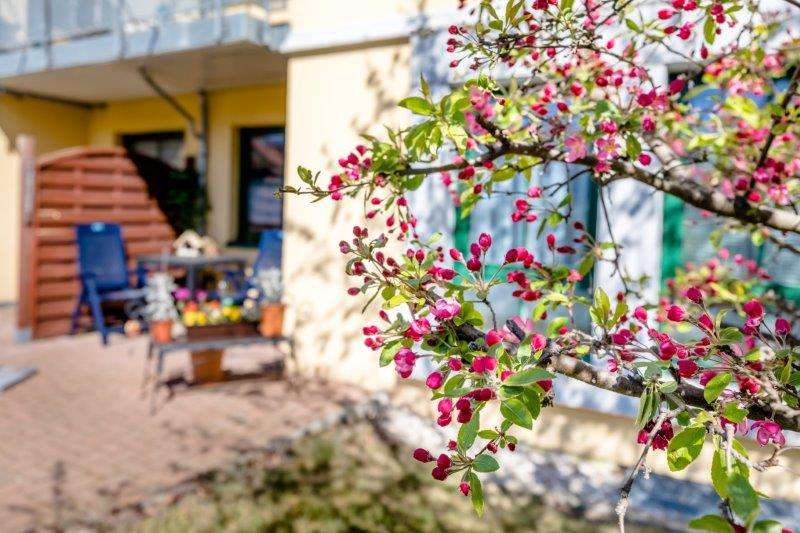 Etagenwohnung Borsdorf OT Panitzsch Panitzsch - 1 Zimmer, 48 m&sup2;, 455&euro; | Angebot:25257771