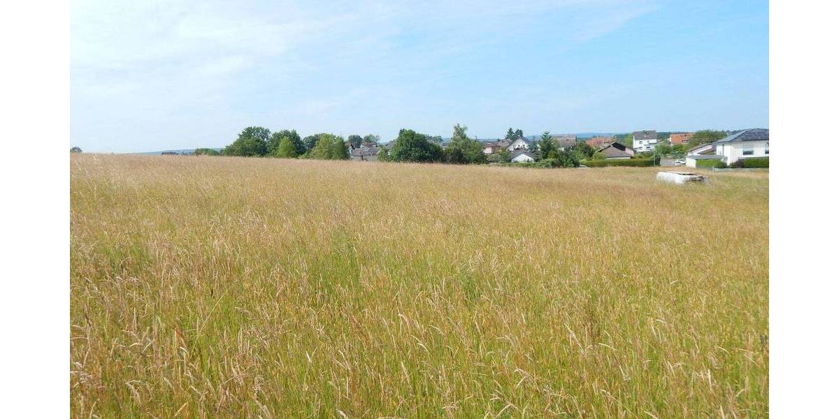 Einfamilienhaus Losheim am See Losheim - 7 Zimmer, 307 m&sup2;, 399.000&euro; | Angebot:25742863