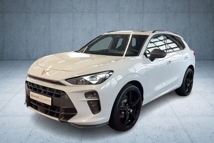 Cupra Terramar 3.500 km 53.890 &euro; Alsfeld 36304