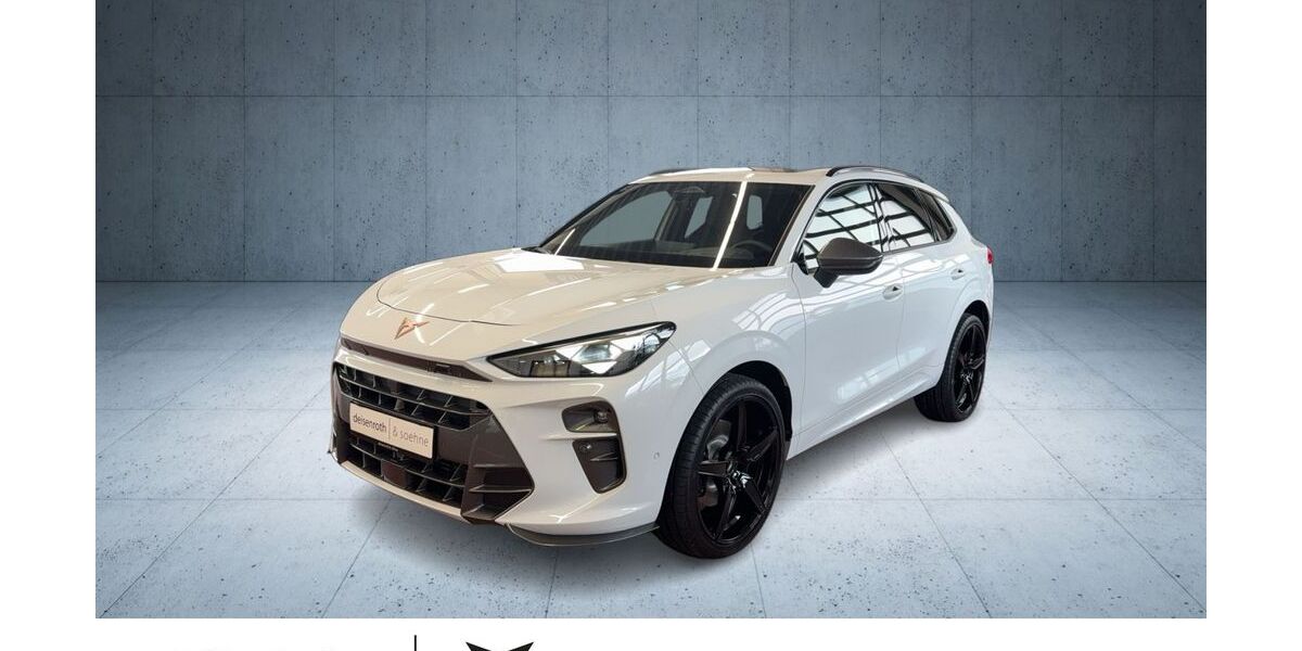 Cupra Terramar 3.500 km 53.890 &euro; Alsfeld 36304