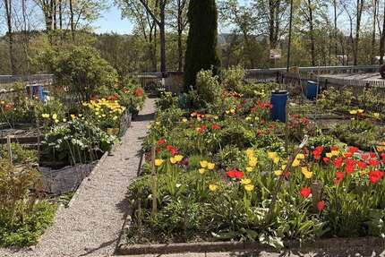 Wohnung Miesbach - 2 Zimmer, 52 m&sup2;, 750&euro; | Angebot:26337129