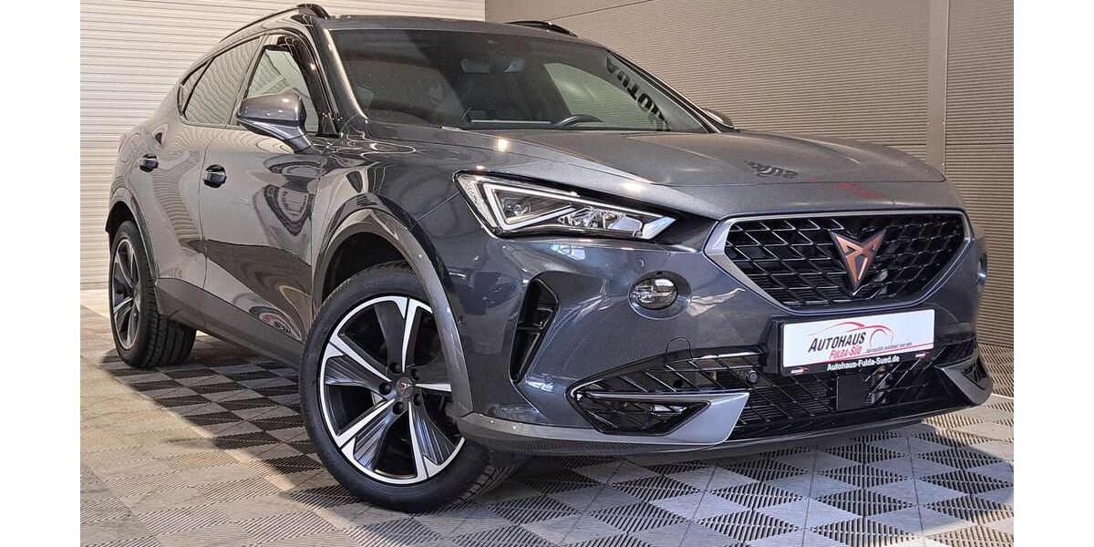 Cupra Formentor 98.300 km 20.970 &euro; Neuhof OT. Dorfborn 36119