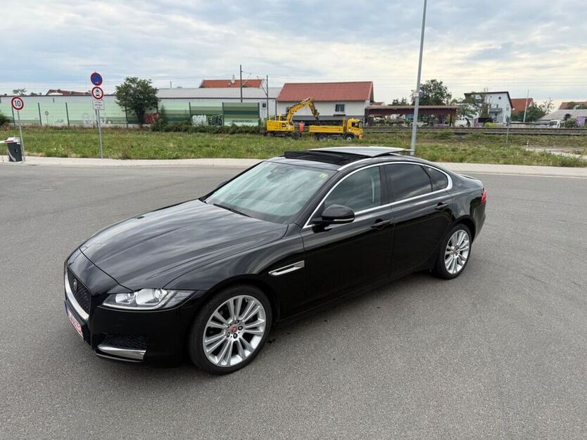 XF