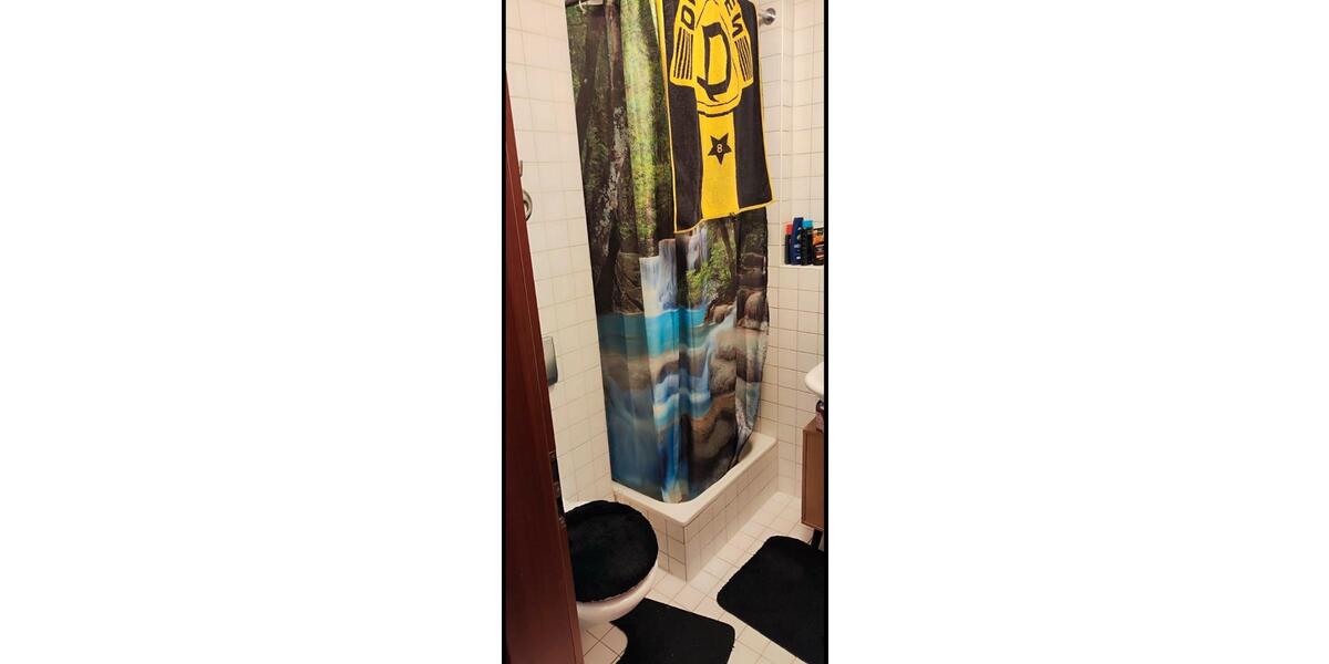 Erdgeschoßwohnung Dresden Blasewitz - 1 Zimmer, 29 m&sup2;, 75.000&euro; | Angebot:22981157