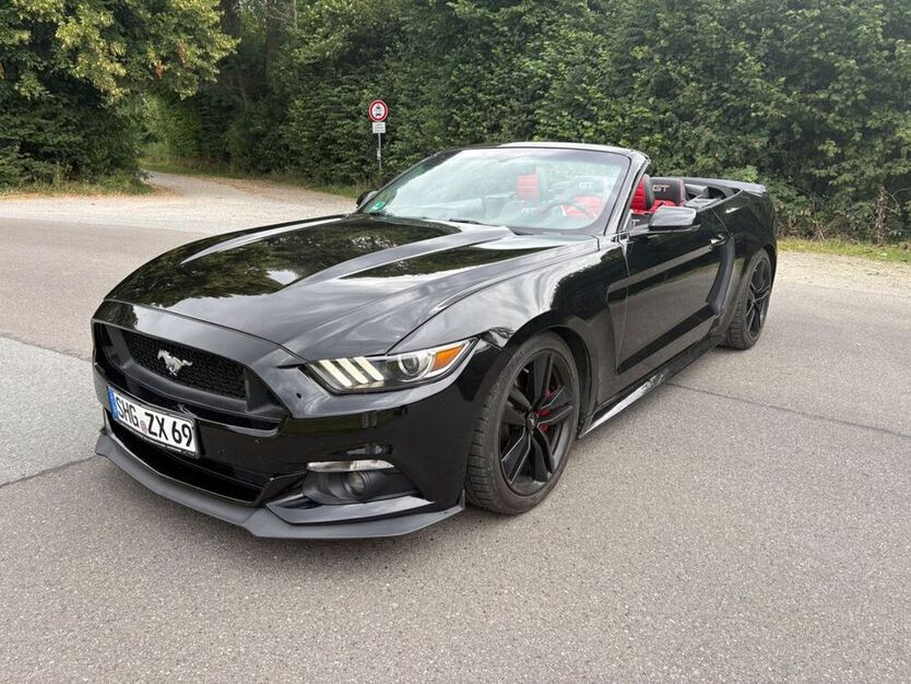 Mustang