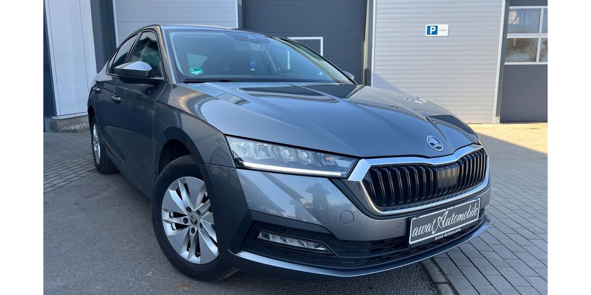 Skoda Octavia 169.062 km 15.999 &euro; Leipzig 04207
