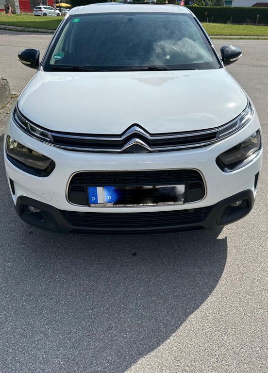C4 Cactus