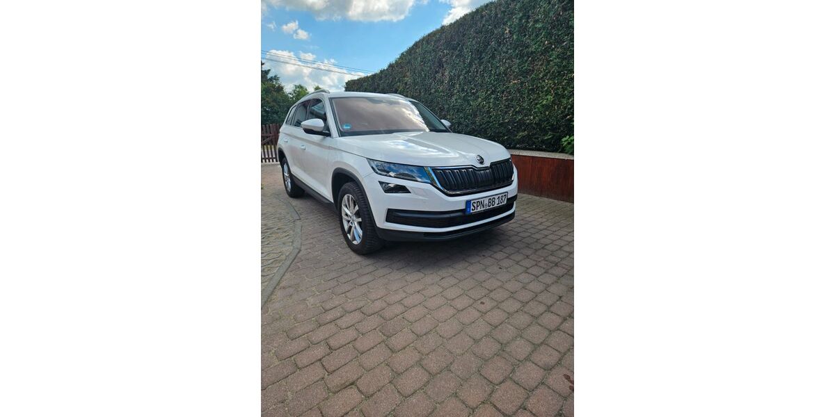 Skoda Kodiaq 107.661 km 19.499 &euro; Guben 03172