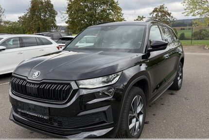 Skoda Kodiaq 118.699 km 27.999 &euro; Oberlungwitz 09353
